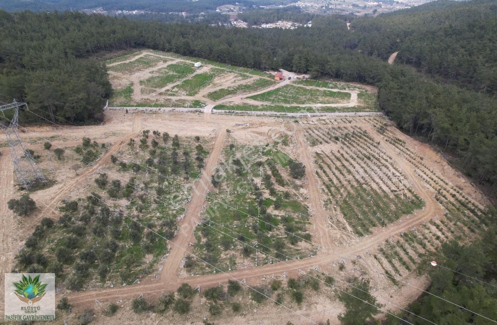 Pasifikten Menderes Yeniköyde Doğayla İç İçe 240 M² Parseller