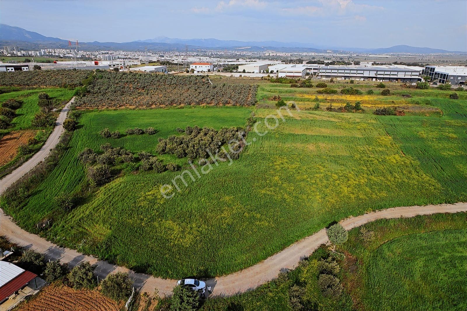 Pasifikten Pancar Osb Yanı Satılık 7.887 M² İmar Sınırı Tarla