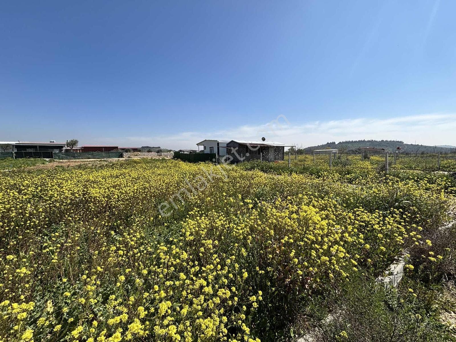 Pasifikten Menderes Kısıkta Eletrik & Suyu Olan 275 M² Bahçe