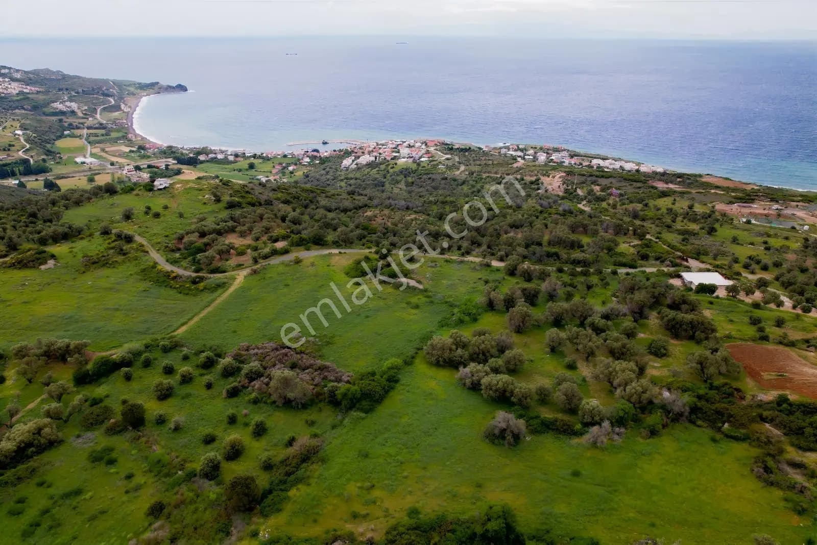 Pasifikten Karaburun Tepebozda 3.380 M² Deniz Manzaralı Tarla