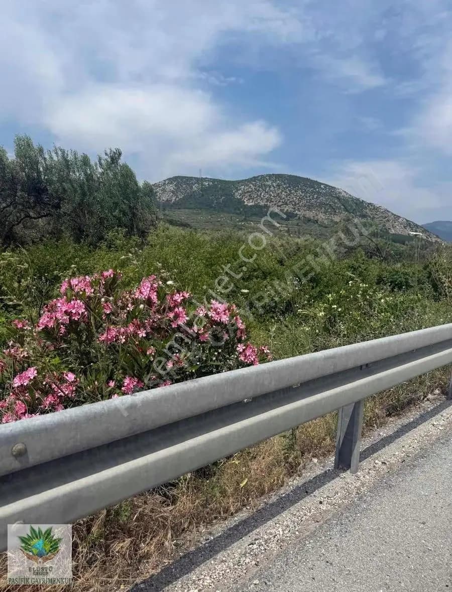 Pasifikten Manisa Kırkağaçta Anayol Cepheli 4.700 M² Tarla