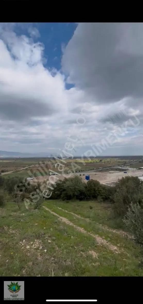 Manisa Turgutlu Akçapınar'da 7812 M² Tek Tapu Satılık Arazi