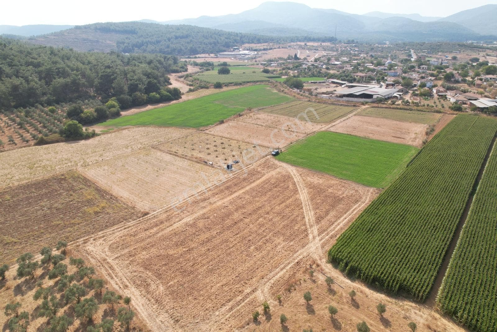 Pasifikten Menderes Çakaltepede Satılık 4.752 M² Tek Tapu Tarla